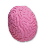 Mini Brain Erasers (24 per unit)  #101565 (G-22)