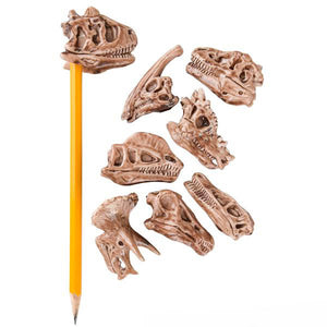 Dino Fossil Pencil Top Eraser, #42145